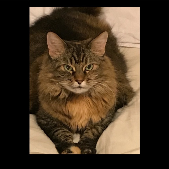 Like this posting to find my closet - Picture 3 of 3